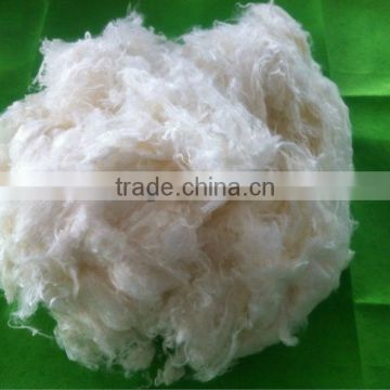 100% wheat protein fiber new founctional fibre