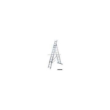 Combination Ladder