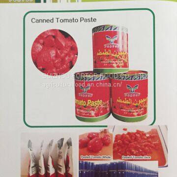 Factory Price Premium Tomato Paste in Pouch/Sachet photo-4