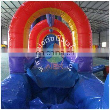 Aier 17m Long 56ft Giant Slide Outdoor Inflatable Water Slide for Sale