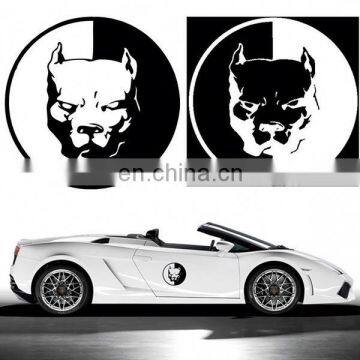 glow in the dark car sticker customized car models