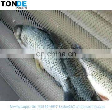 Commercial High Quality Fish Descaler Machine for Export photo-6