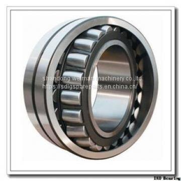 IKO Bearing