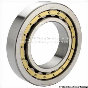 Cylindrical Roller Bearings