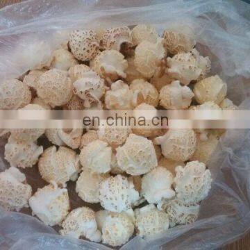 Fully Automatic Continuous Industrial Caramel Chocolate Popcorn Making Machine Commercial China Jinan