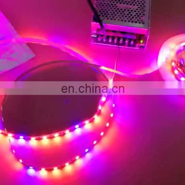 DC12V 300LEDS 5Meters Per Roll Red:Blue 3:1,4:1,5:1 Led Grow Strip Tube Light