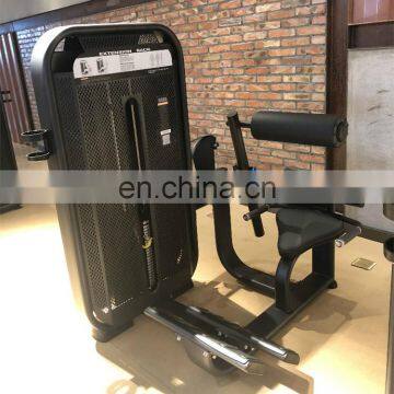 Wholesale Powerful Bodybuilding Tools Sports Machine Lower Pin Loaded Back Extension Equipment for Sale SES31 photo-2