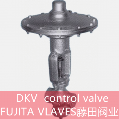 DKV FUJITA VLAVES photo-2