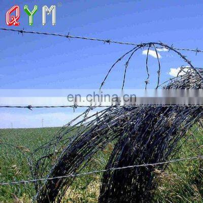 Low Price Barbed Wire Stainless Steel Razor Wire photo-2