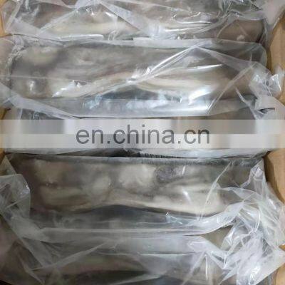 Good Quality BQF Frozen Squid Tentacle for Export photo-5