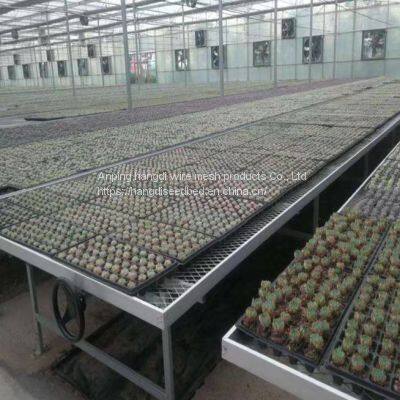 Tidal Irrigation Mobile Seedbed photo-2