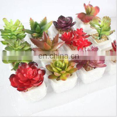 Home Decor Artificial Suculentas Natural Faux Plants Supplier Ornamental Handmade Ceramic Pots With Plastic Succulent Plants