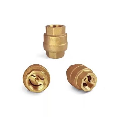 Non Return Brass Vertical Spring Check Valve