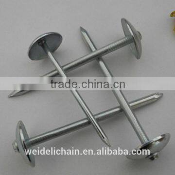 Galvanized Concrete Nail/Common Wire Nail / Roofing Nails photo-3