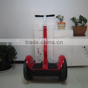 Electric Scooter: RC-EPT-01