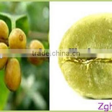 halal green cofee bean extract/fat reduction additives