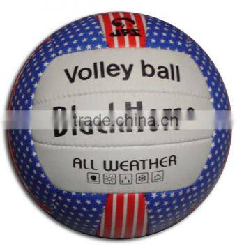 Promotional Volleyballs