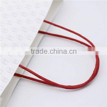 2016 Promotional Shopping Gift Kraft Paper Bags Twisted Handle for Shopping Bags photo-4