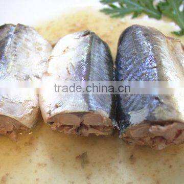 Chinese Canned Mackerel in Natural Oil to Samoa photo-4