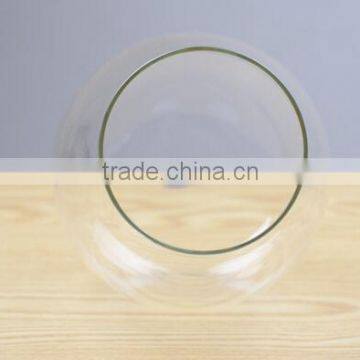 Glass Bottle for Micro Landscape, Glass Vase photo-4