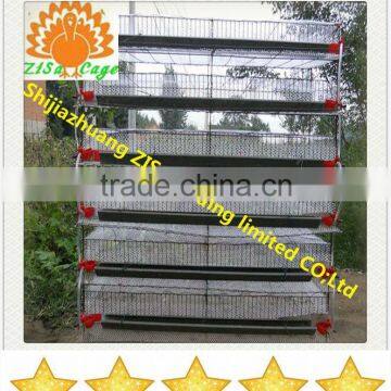 Hot dip galvanized 6 tiers manufacturers quail cage price