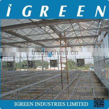 Agricultural Glass Greenhouse for Aquaponics photo-6