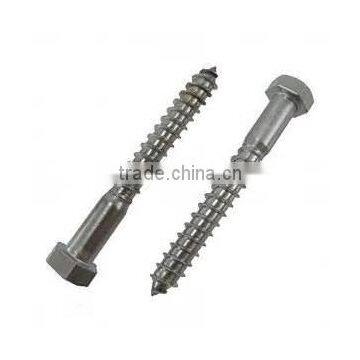 18/8 Stainless Steel Lag Bolts (Screws)