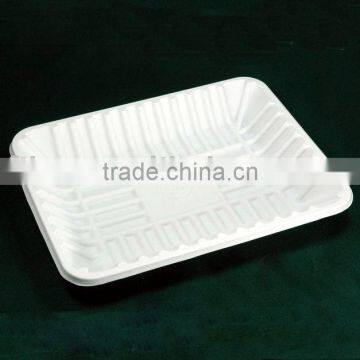100% biodegradable plate