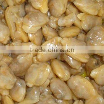 frozen clam meat IQF