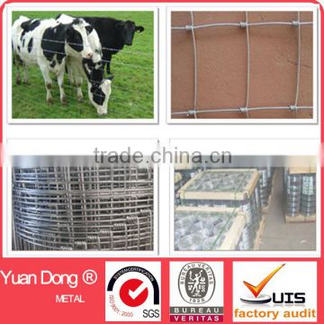 cattle fence/sheep fence/field fence (factory)