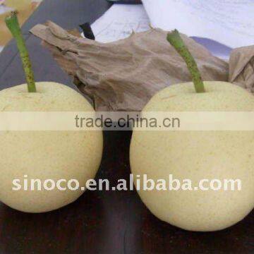 China Crown Pears