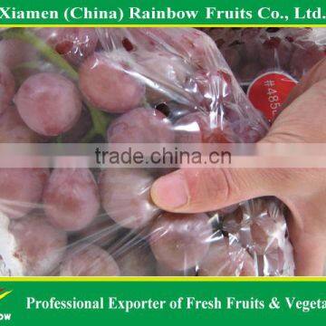 nasik grapes from Yunan Xinjiang China