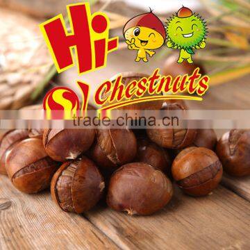 Ready to Eat Roasted Ringent Chestnuts Snacks photo-2