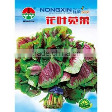 High Quality Chinese Amaranth Seeds For Sale -Colorful Amaranth