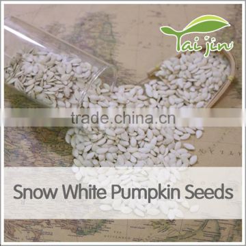 first grade health snow white pumpkin seed