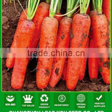 MCA07 Gaoji early maturity op red carrot seeds for planting