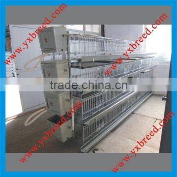 H type poultry farming broiler cage