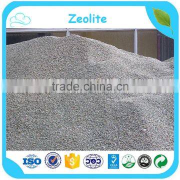 Made In China Factory Price 14x40 Mesh Granular Zeolite For Water Filtration photo-4