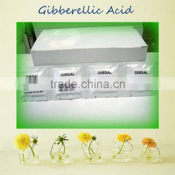 Good Price of China Tablet Gibberellic Acid GA3 in Plant Growth Regulator