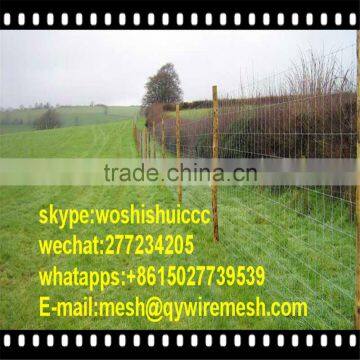 Good Quality Field Fence Cattle Fence photo-2