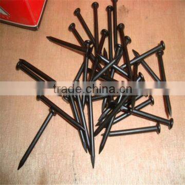 2017 Year Low Price Common Nail photo-6