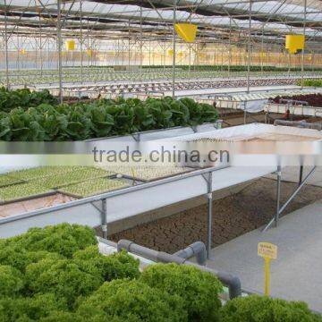 Nft Hydroponics photo-3