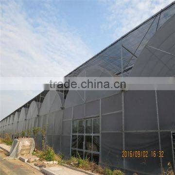 Multiwall Polycarbonate Roofing Sheet Greenhouse photo-5