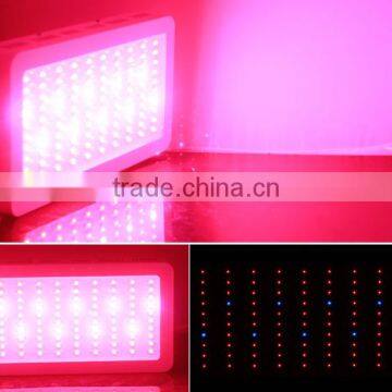High Quality China Made 300W LED Grow Light photo-2