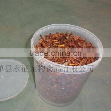 Health food for pet dried grasshopper, bio pet food, goody pet foods