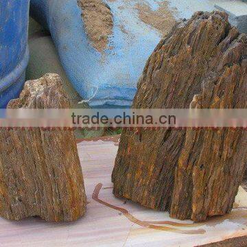 NATURAL STONE PETRIFIED WOOD TILES SLABS photo-4
