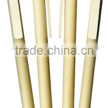 Earth-friendly Cardboard Pens LS Eplus