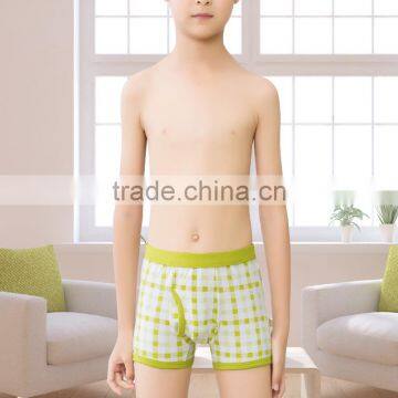 95% Cotton5%spandex Printed Boys Underwear / Children Underwear photo-4