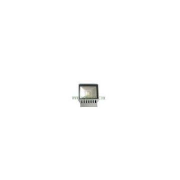 Led Flood Light F212-100W