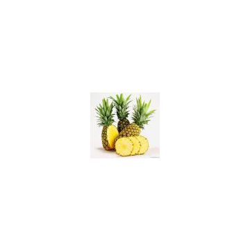 SUPPLY FRESH PINEAPPLE